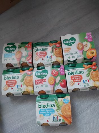 Lot bledina petit pot 