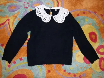 Pull polaire