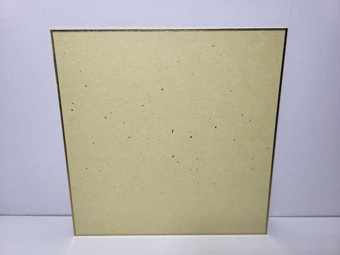 Kamen Rider Ichiban Kuji Shikishi 20X20Cm - photo numéro 3