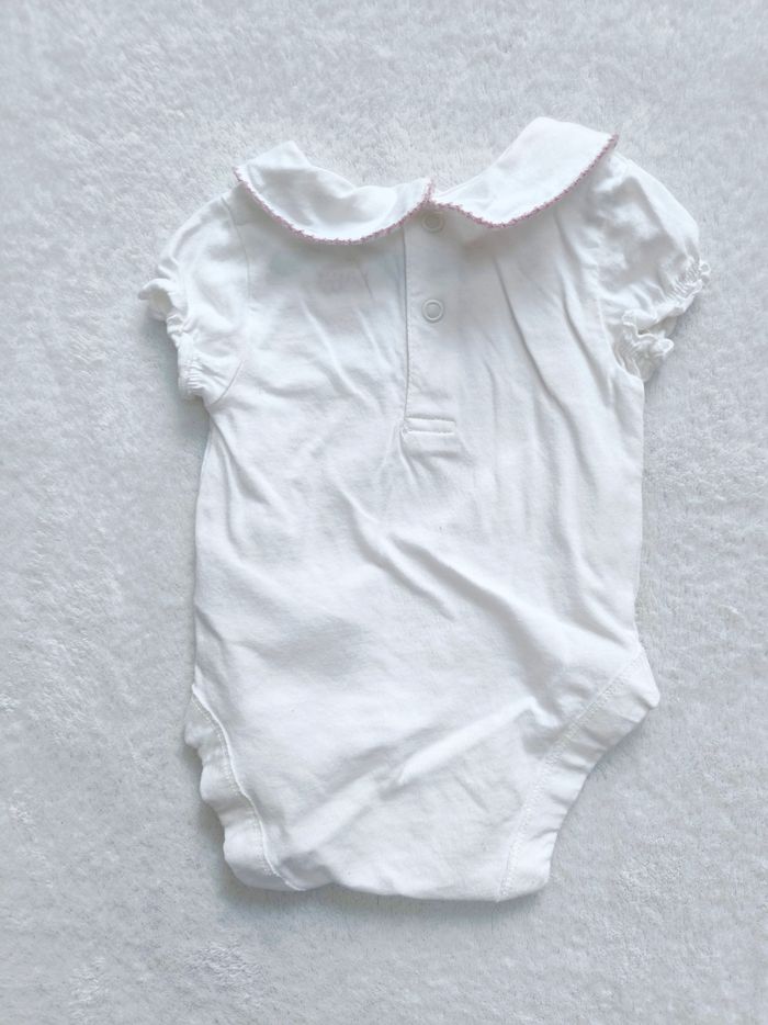 Bodie 3 mois - photo numéro 2