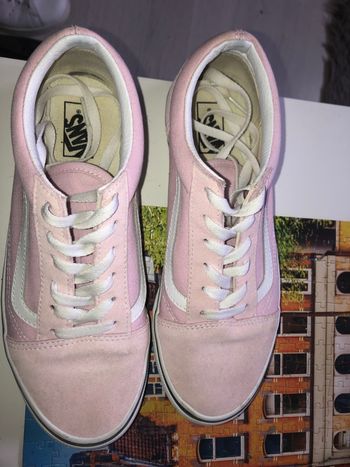 Vans rose