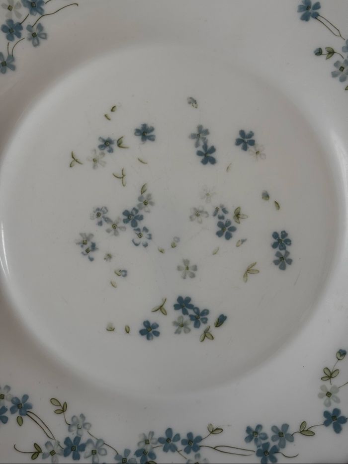 Vintage lot de 5 assiettes plates Arcopal véronica myosotis - photo numéro 7