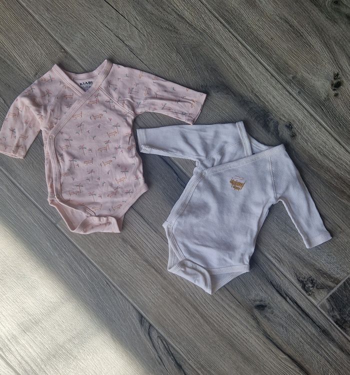 Lot 2 bodies