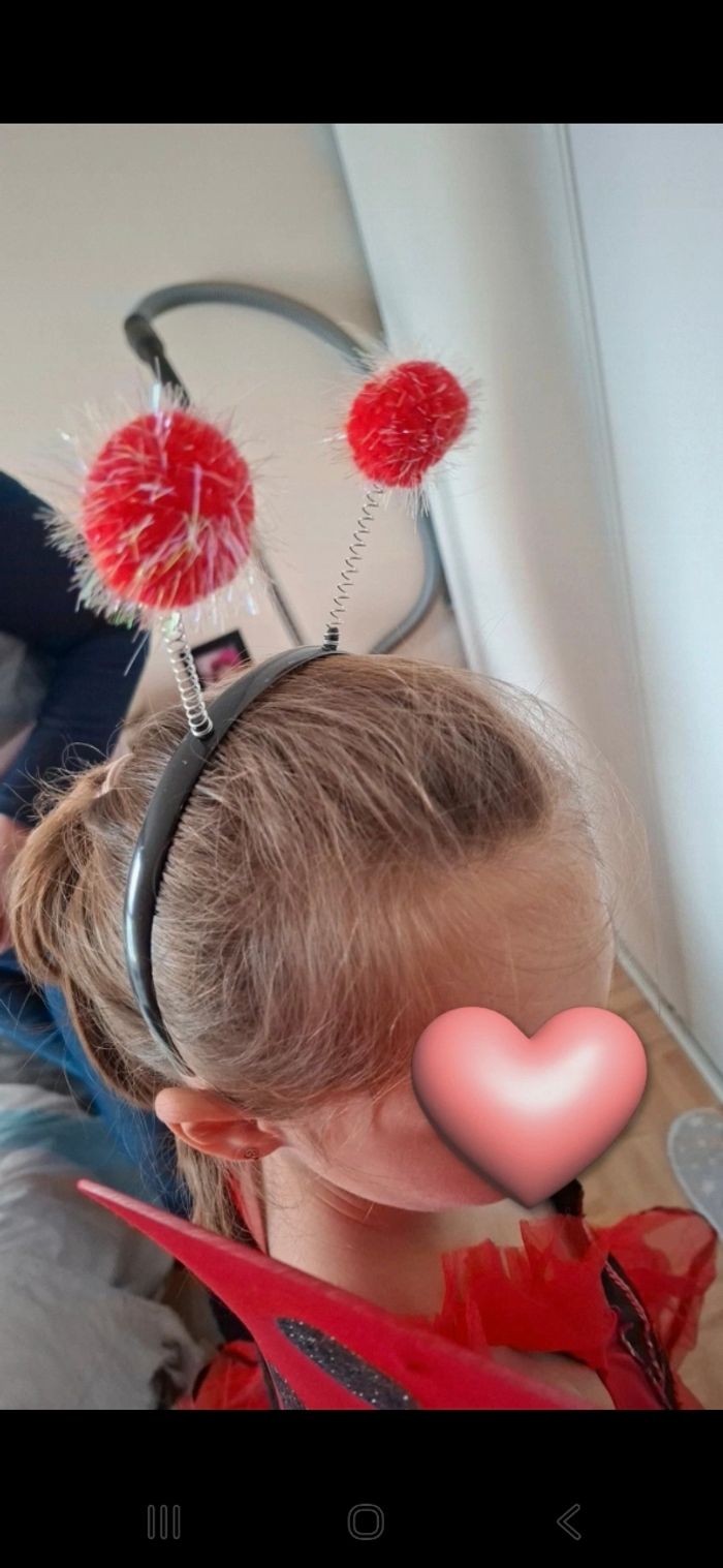 Déguisement coccinelle 🐞 - photo numéro 2