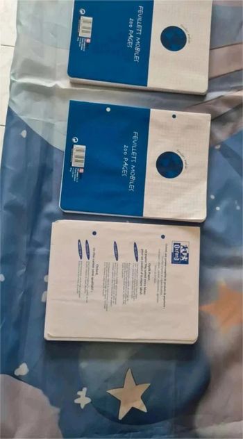 Lot  feuille  petit  et  grand  carreaux