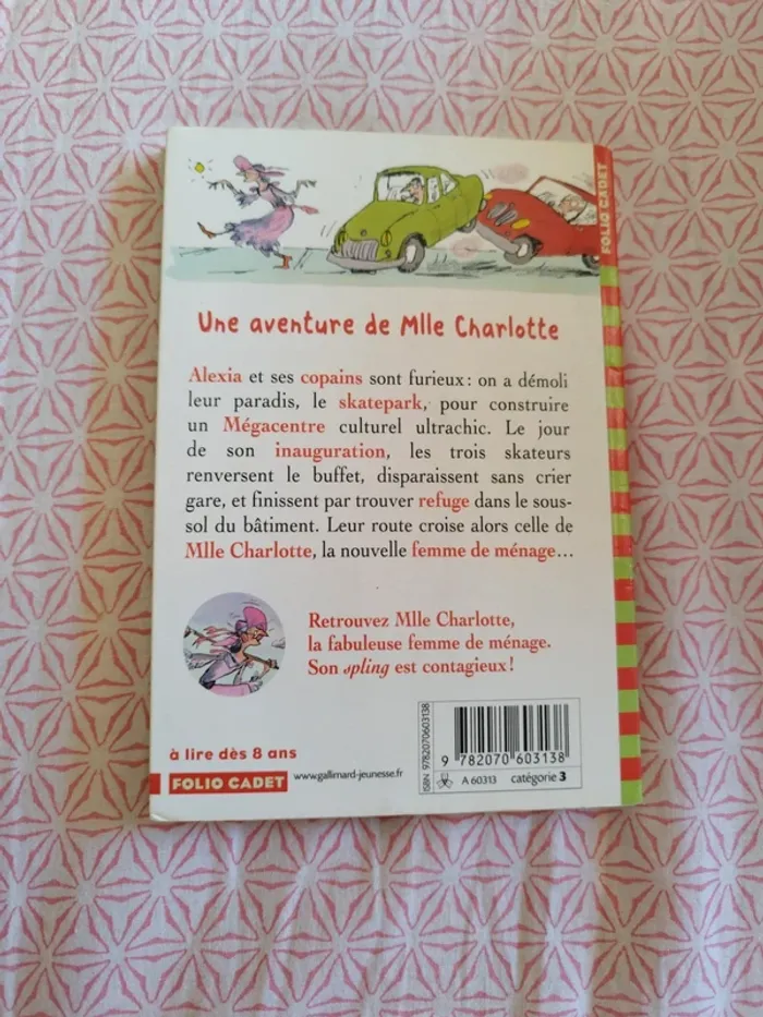 🔴Une fabuleuse femme de ménage - photo numéro 2