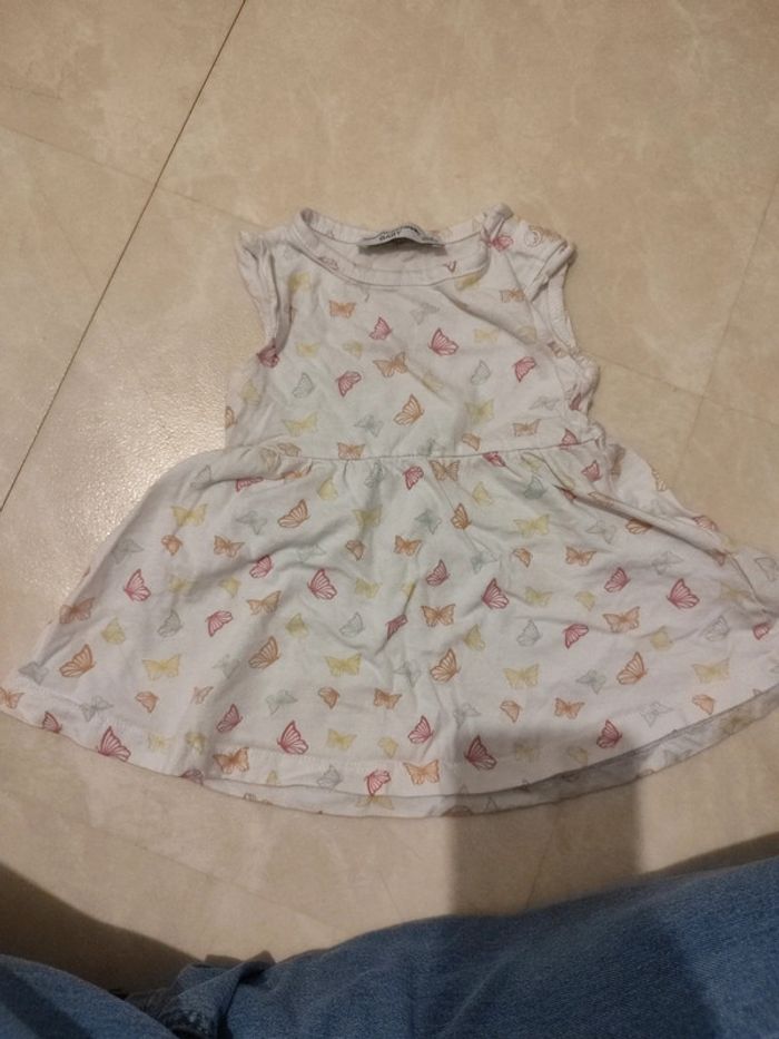 Ensemble papillons - photo numéro 3