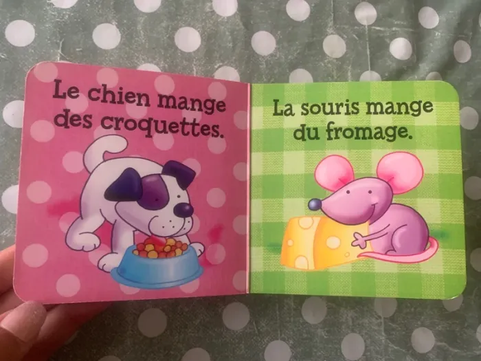 Livre poignée - photo numéro 5