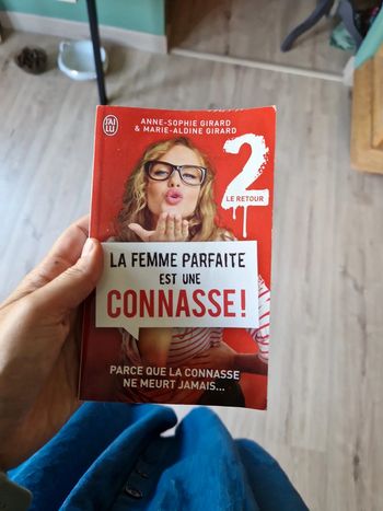 Livre la femme parfaite est une connasse 2