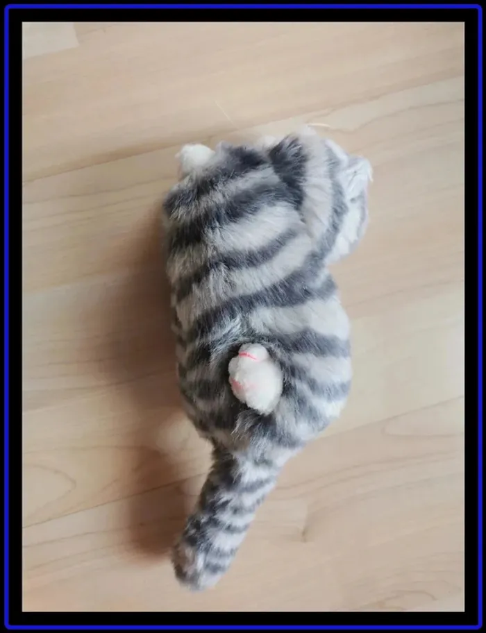 Peluche chat - photo numéro 2