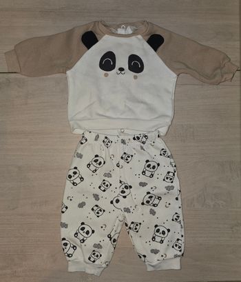Ensemble panda
