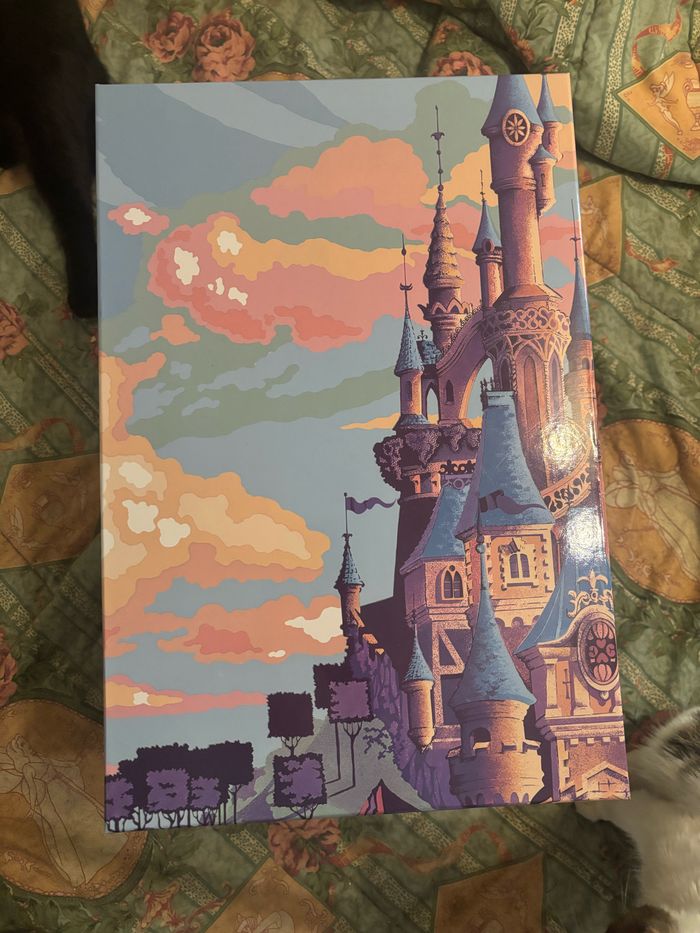 Château la belle au bois dormant Disney - photo numéro 10