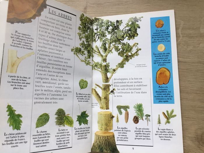 Livre « les forêts de France » - photo numéro 3