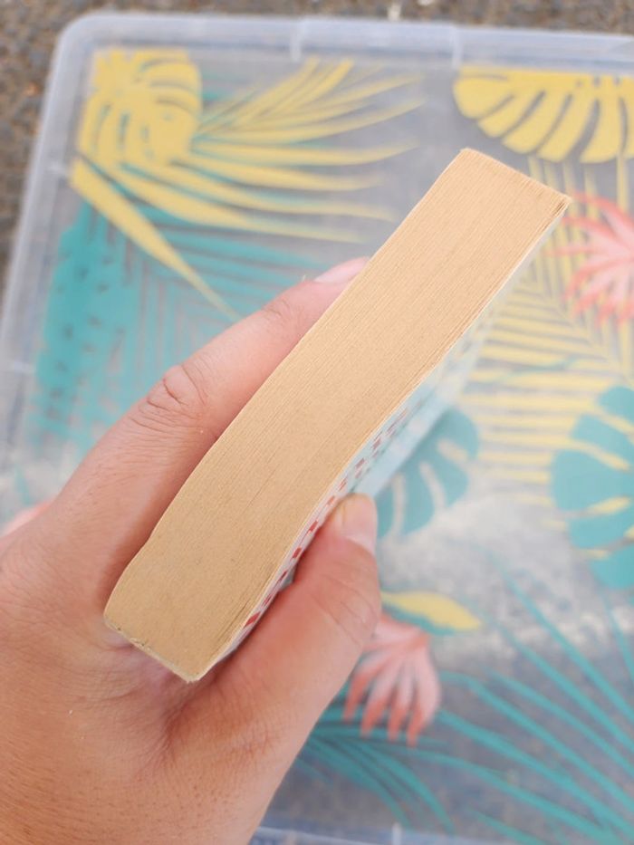 Livre de poche "jamais sans ma fille" de Betty Mahmoody - photo numéro 4