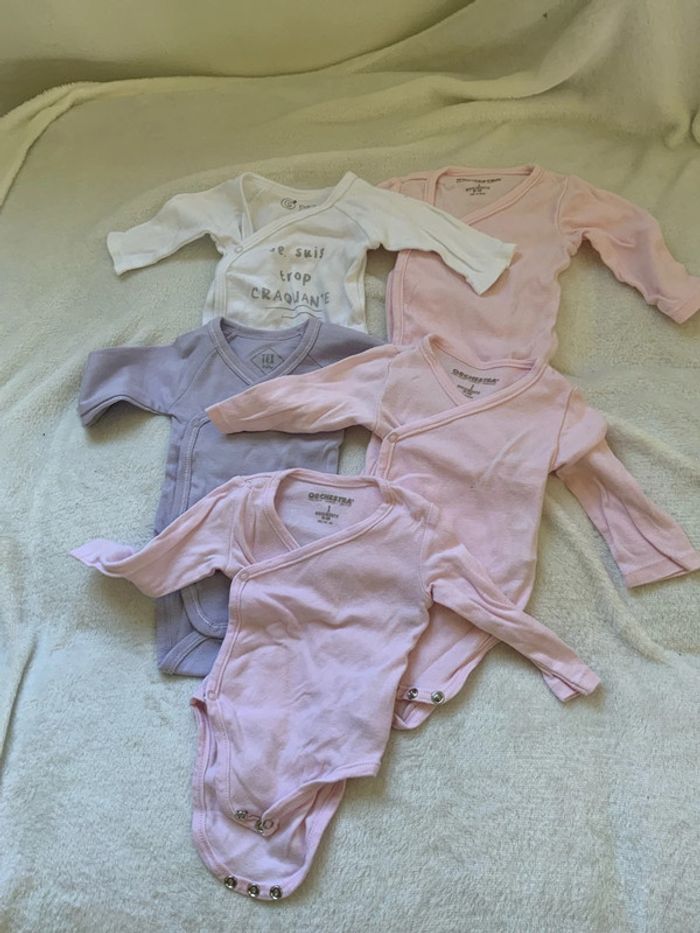 Lot 5 bodies