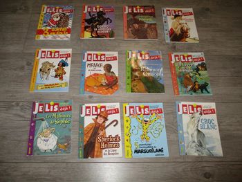lot de 12 livres je lis déjà de Fleurus