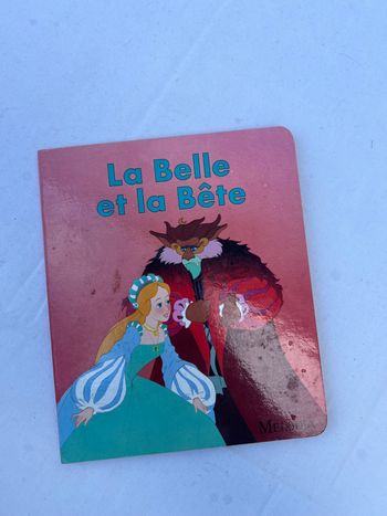 Livre - La belle et la bête