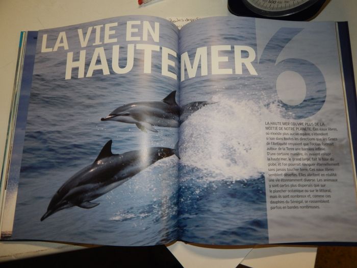 Mers et océans - photo numéro 6