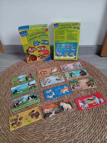 Jeu découverte maman et ses petits 