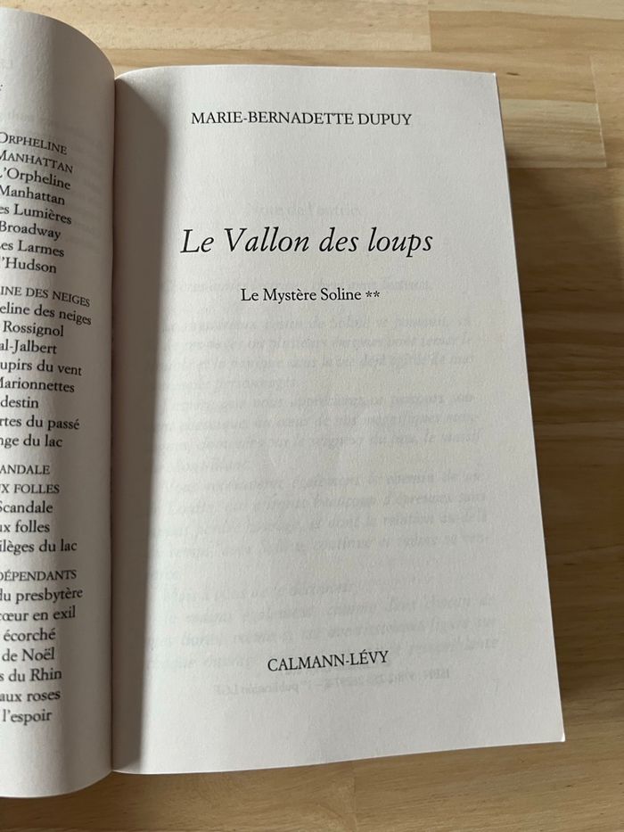Livre Le Vallon des Loups – Marie-Bernadette Dupuy – Bon État - photo numéro 2