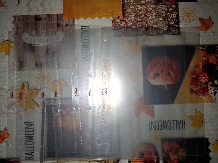 Pochettes plastifiée pour feuilles diddl A4 - photo numéro 2