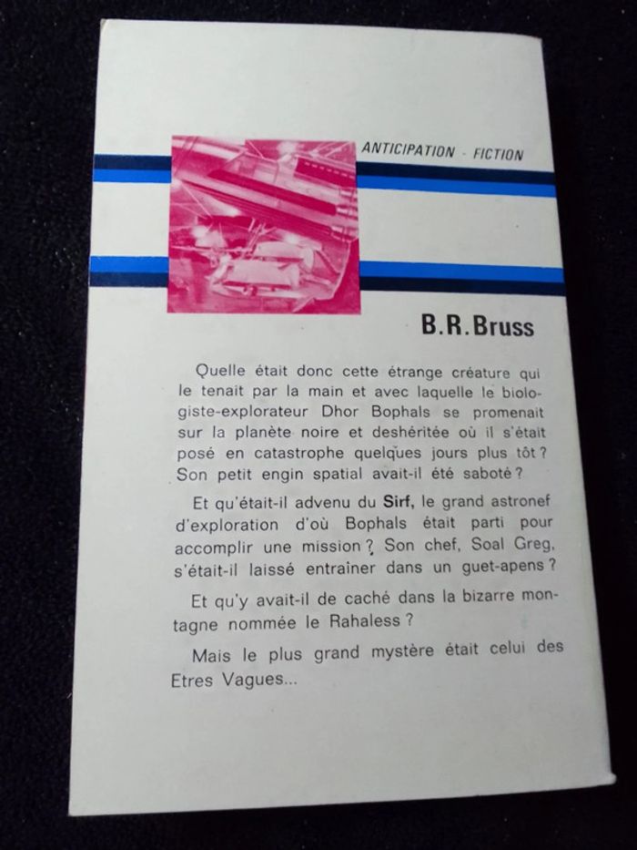 B.R. Bruss - Les êtres vagues - photo numéro 2
