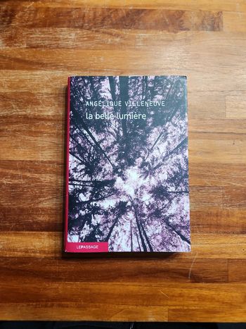 Livre : La belle lumière