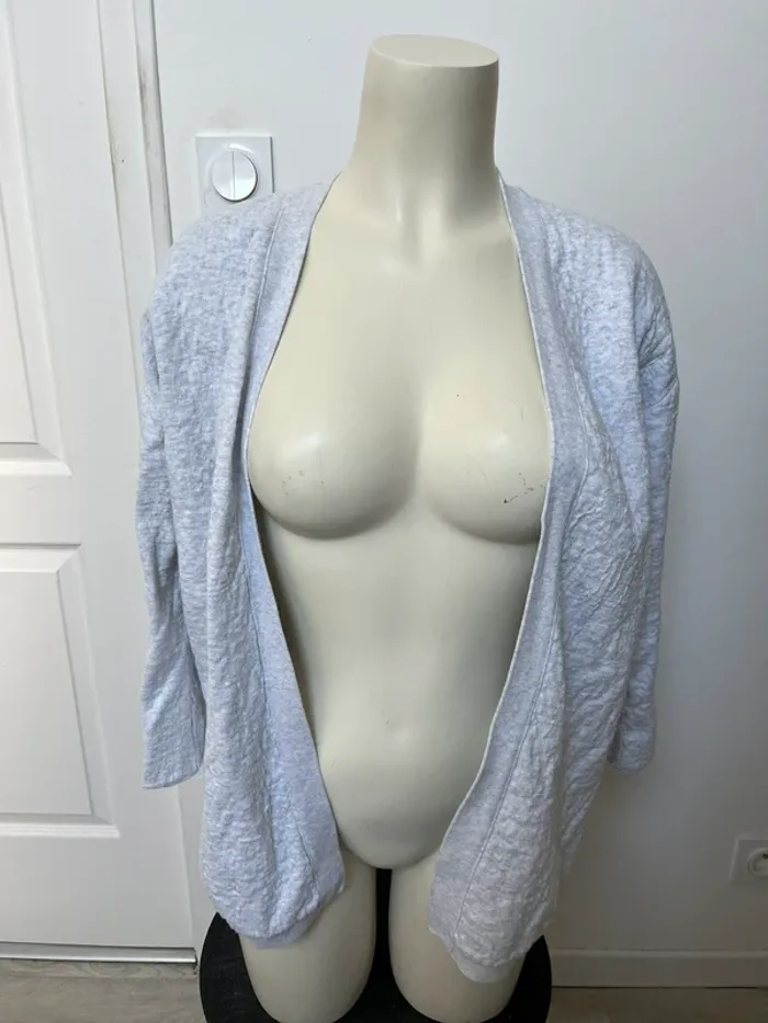 Gilet - photo numéro 2