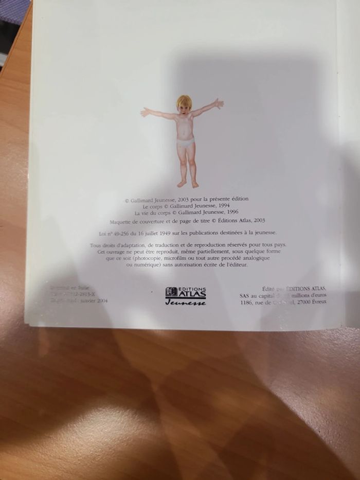 Cache cache avec corps humain - photo numéro 17