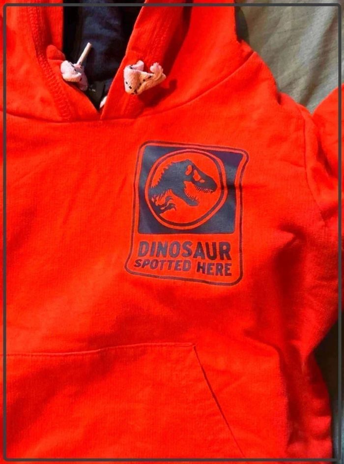 Pull  jurassic world 6ans - photo numéro 2