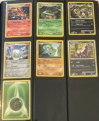 Lot carte Pokémon DP