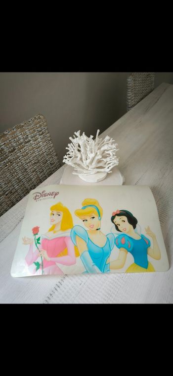 Set de table Disney Princesses 