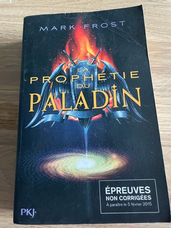 La prophétie du paladin