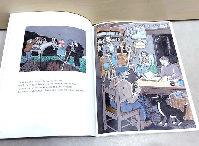 🌺 Livre (école des loisirs) : Maître des brumes - photo numéro 3