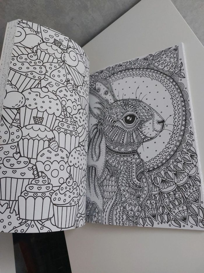 Livre coloriage pour adulte anti stress - photo numéro 6