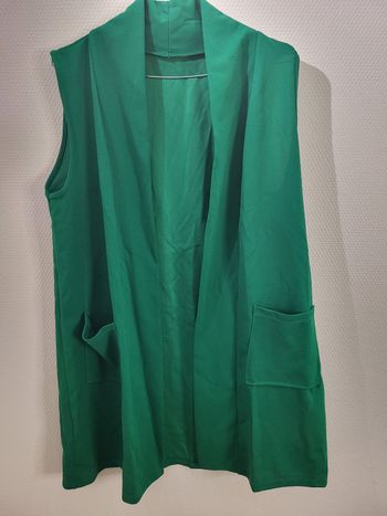 Gilet long vert