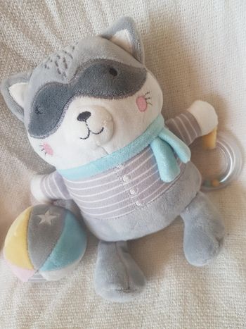 Raton laveur  Mots d enfants