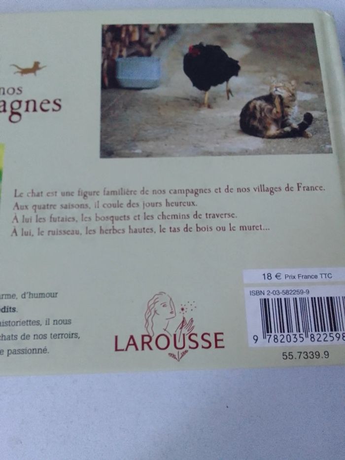 Chats de nos campagnes - photo numéro 4