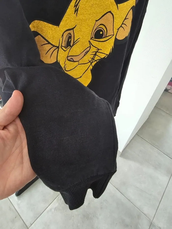 Pull Sweat a capuche roi lion +1 gratuit - photo numéro 3
