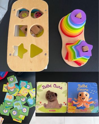 Lot jeu en bois et livre 