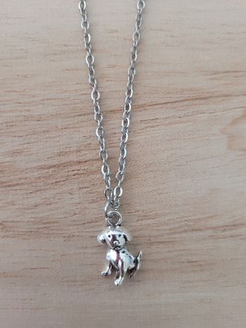 Chaine et pendentif en acier inoxydable