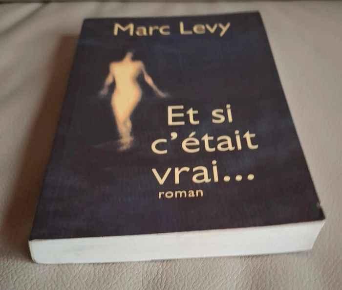 Roman et si c était vrai de Marc Lévy - photo numéro 4