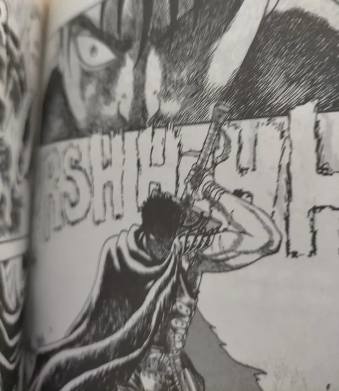 Berserk tome 1 Dynamic Vision - photo numéro 4
