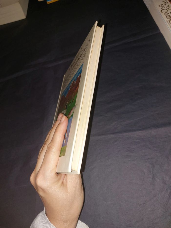 Ouachitah bon pied mauvais oeil - photo numéro 4