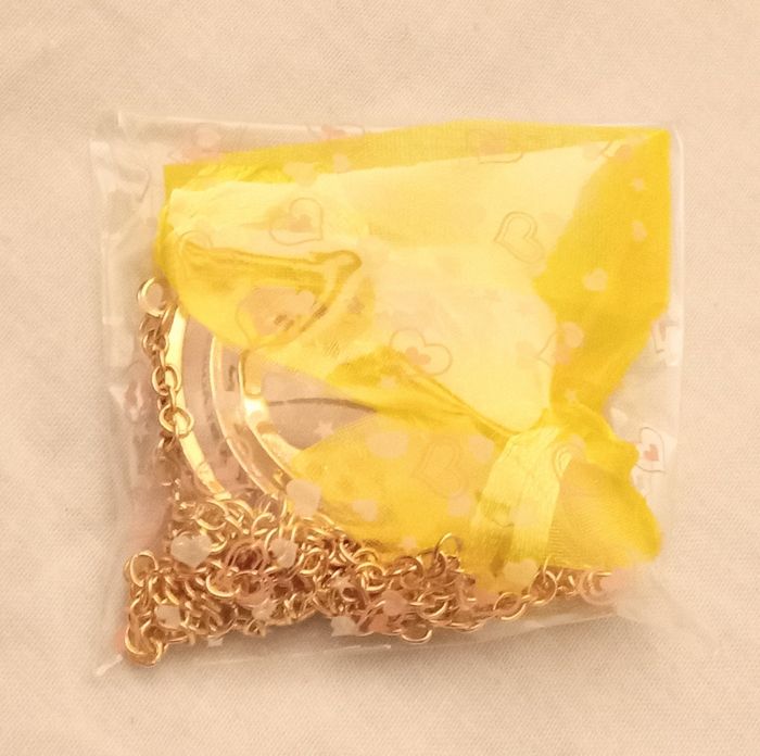 Collier Harry Potter convertisseur de temps - photo numéro 5