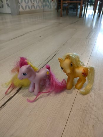 2 my little poneys