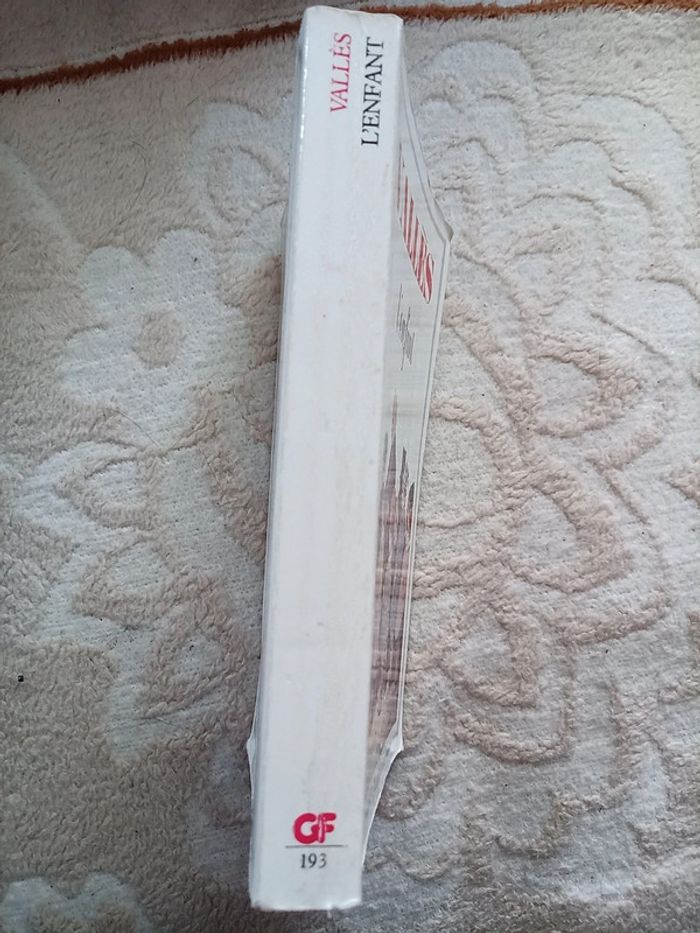 Jules Vallès : L'enfant - photo numéro 3