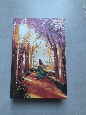 Anne d'Avonlea tome 2