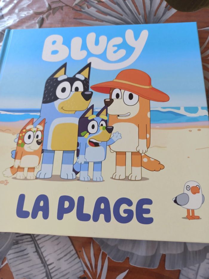 Bluet à la plage