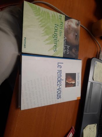 Lot 2 livres le roi et le rendez-vous